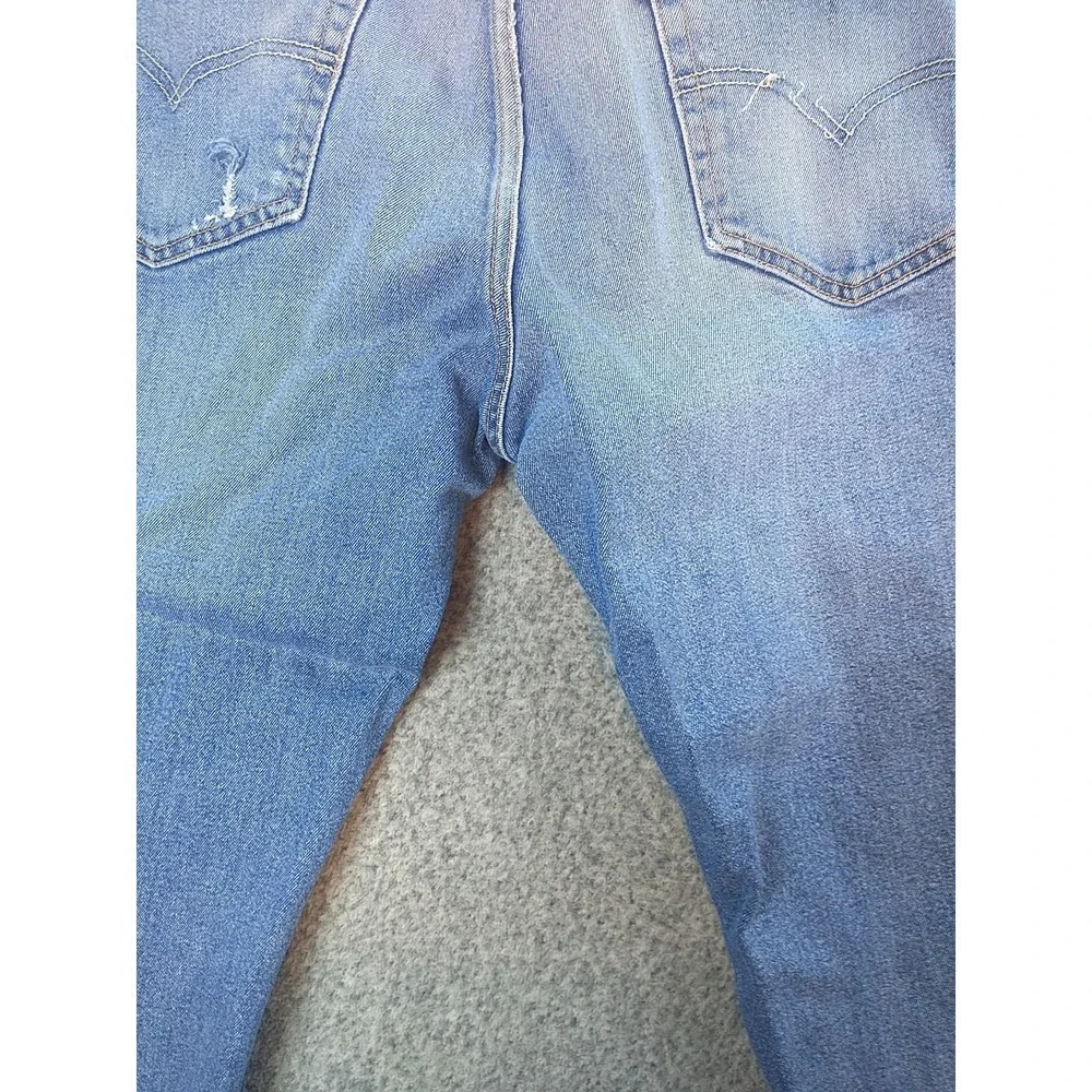 Levis levis 559